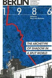 Archetype of Shadow in a Split World