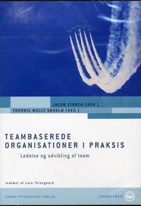 Teambaserede organisationer i praksis