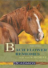 Bach Flower Remedies for Your Horse: Reducing Stress and Alleviating Symptoms