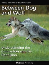 Showing Kunga: From Pet Owner to Dog Show Junkie