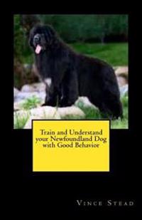 Train and Understand Your Newfoundland Dog with Good Behavior