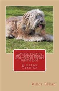 Have Fun Training and Understanding Your Tibetan Terrier Puppy & Dog