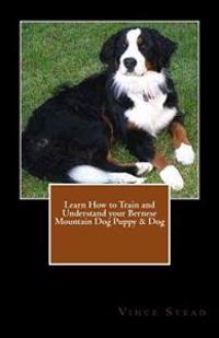 Learn How to Train and Understand Your Bernese Mountain Dog Puppy & Dog