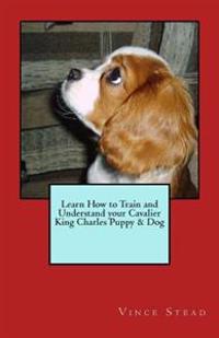 Learn How to Train and Understand Your Cavalier King Charles Puppy & Dog