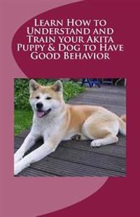 Learn How to Understand and Train Your Akita Puppy & Dog to Have Good Behavior