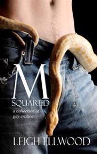M-Squared: A Collection of Gay Erotica