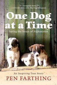 One Dog at a Time: Saving the Strays of Afghanistan