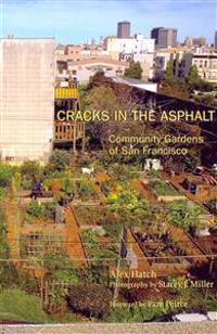 The View from Penthouse B