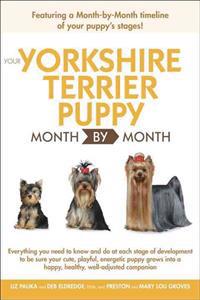 Your Yorkshire Terrier Puppy Month by Month
