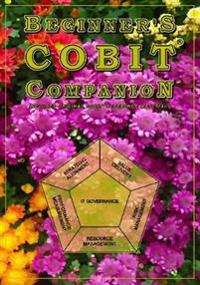 Beginner's COBIT Companion