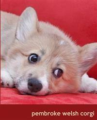 Pembroke Welsh Corgi: A Gift Journal for People Who Love Dogs: Pembroke Welsh Corgi Puppy Edition