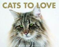 Cats to Love