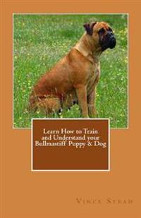 Learn How to Train and Understand Your Bullmastiff Puppy & Dog