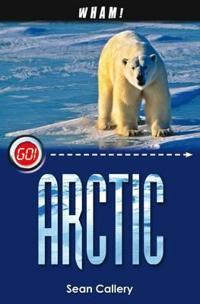 Wham! Arctic