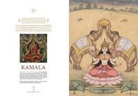 Beauty, Power & Grace