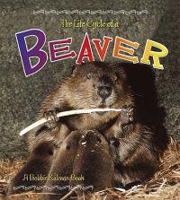 The Life Cycle of a Beaver