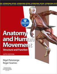 Anatomy & Human Movement