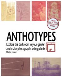 Anthotypes - Explore the darkroom in your garden and make photographs using plants