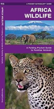 African Wildlife: An Introduction to Familiar Species
