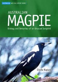 Australian Magpie
