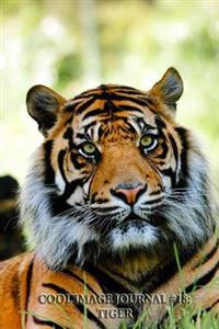 Cool Image Journal #18: Tiger (Blank Pages): 200 Page Journal