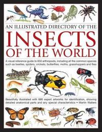 An Illustrated Directory of the Insects of the World