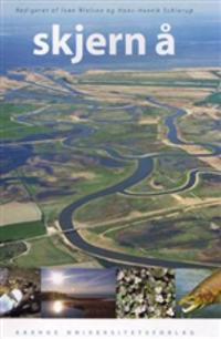 Skjern Å