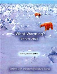 What Warming?: Satellite View of Global Temperature Change