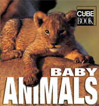 Baby Animals