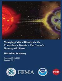 Managing Critical Disasters in the Transatlantic Domain - The Case of a Geomagnetic Storm (Workshop Summary)