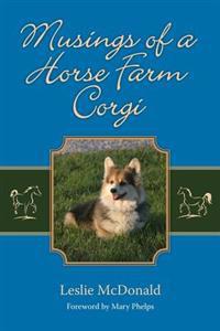 Musings of a Horse Farm Corgi