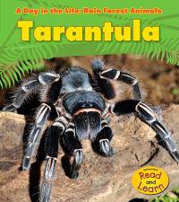 Tarantula