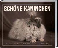 Schöne Kaninchen