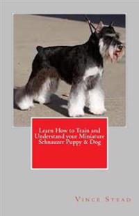 Learn How to Train and Understand Your Miniature Schnauzer Puppy & Dog