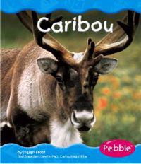 Caribou