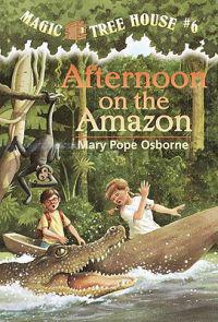 Afternoon on the Amazon