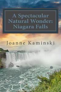A Spectacular Natural Wonder: Niagara Falls