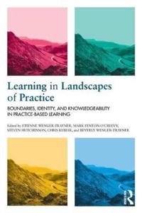 Learning in Landscapes of Practice