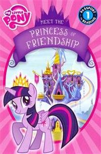 My Little Pony: Meet the Princess of Friendship