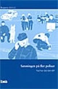 Satsningen på fler poliser. Brå rapport 2013:12 : Vad har den lett till?