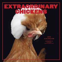 Extraordinary Chickens 2015 Wall Calendar