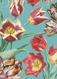 Royal Horticultural Society Tulips Boxed Notecards