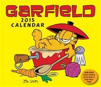 Garfield 2015 Day-to-Day Box