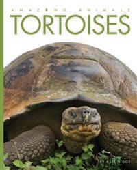 Amazing Animals: Tortoises