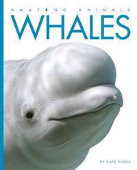 Amazing Animals: Whales