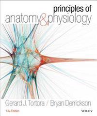 Principles of Anatomy & Physiology [With A Brief Atlas of the Skeleton and Surface Anatomy]