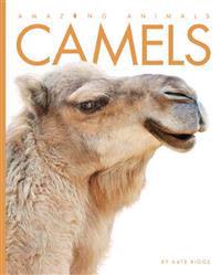 Amazing Animals: Camels