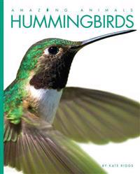 Amazing Animals: Hummingbirds