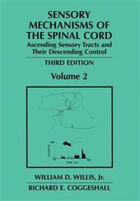 Sensory Mechanisms of the Spinal Cord