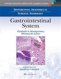 Gastrointestinal System